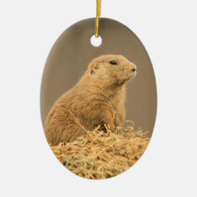 Prairie Dog Aint I Cute Ornament (Front)