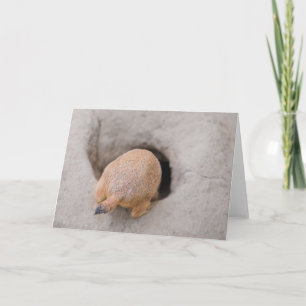 Prairie Dog Butt Card
