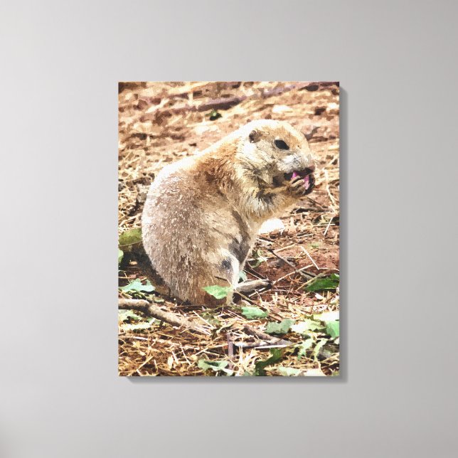 PRAIRIE DOG CANVAS PRINT (Front)