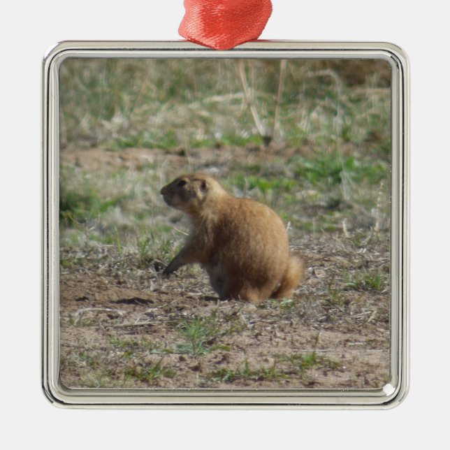 Prairie Dog Christmas Ornament (Front)