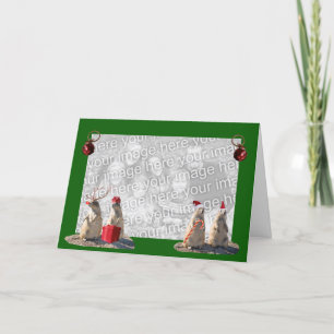 Prairie Dog Christmas Photo Card