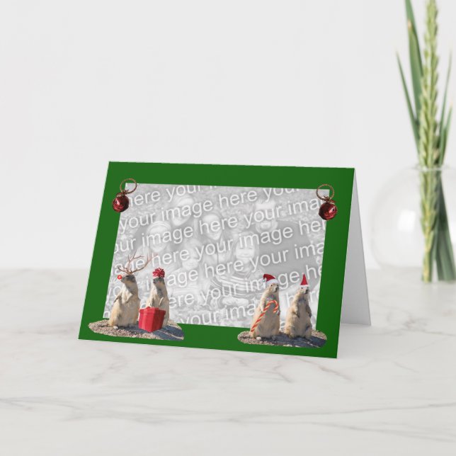 Prairie Dog Christmas Photo Card (Front)