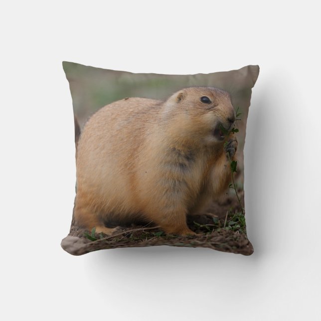 prairie dog cushion (Front)