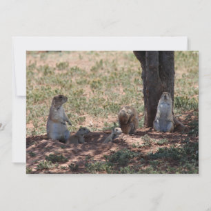 Prairie Dog Family Card