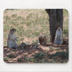 Prairie Dog Family Mouse Mat