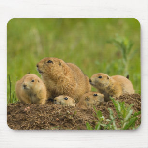 Prairie Dog Family on Den Mouse Mat