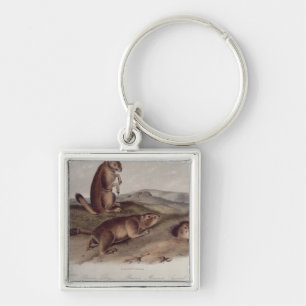 Prairie Dog from 'Quadrupeds of North America' Key Ring