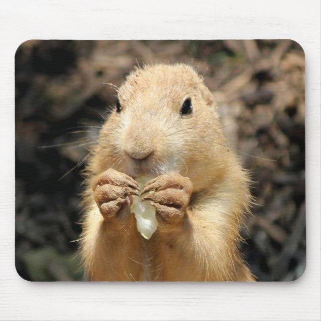 Prairie Dog Having a Snack Mouse Mat (Front)