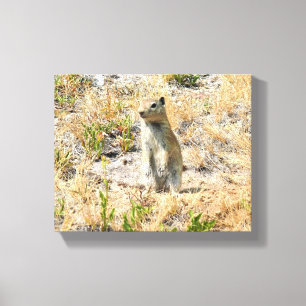 Prairie Dog in Yosemite, CA Canvas Print