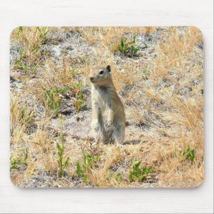 Prairie Dog in Yosemite, CA Mouse Mat
