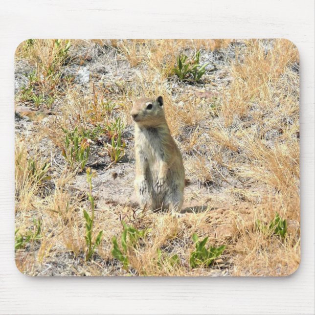 Prairie Dog in Yosemite, CA Mouse Mat (Front)