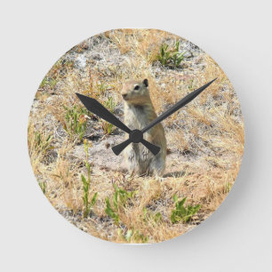 Prairie Dog in Yosemite, CA Round Clock