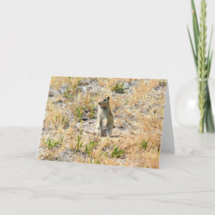 Prairie Dog in Yosemite, California Card