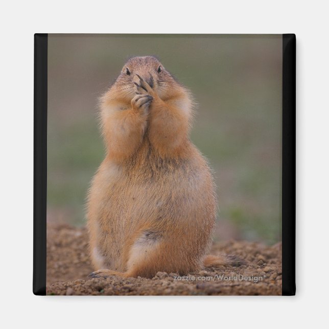 Prairie Dog Magnet (Front)