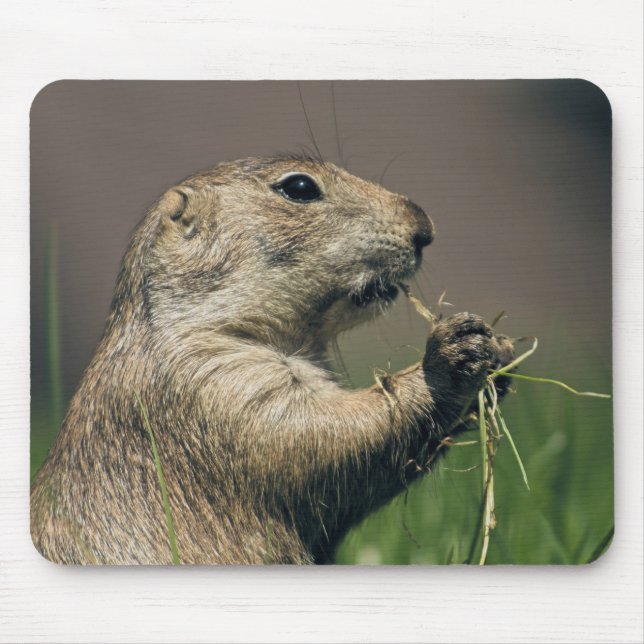 Prairie dog mouse mat (Front)