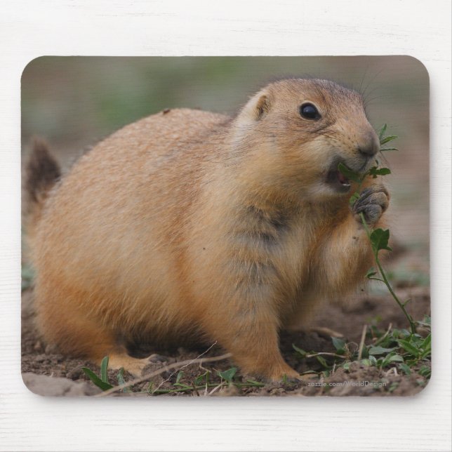 Prairie Dog Mouse Mat (Front)