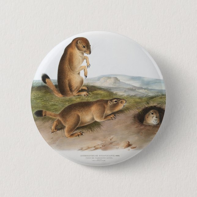 Prairie Dog or Prairie marmot squirrel Camping 6 Cm Round Badge (Front)