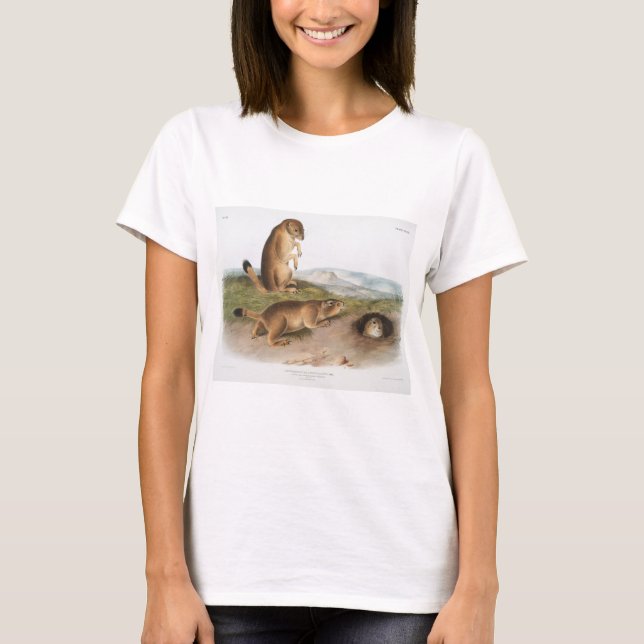 Prairie Dog or Prairie marmot squirrel Camping T-Shirt (Front)