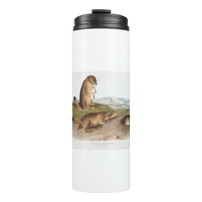 Prairie Dog or Prairie marmot squirrel Camping Thermal Tumbler (Front)