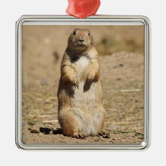 Prairie Dog Ornament (Front)