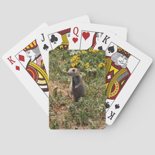Prairie Dog Playing Cards (Back)