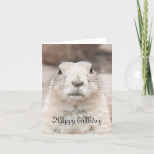 Prairie dog portrait birthday card