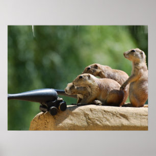Prairie Dog Soldiers Poster