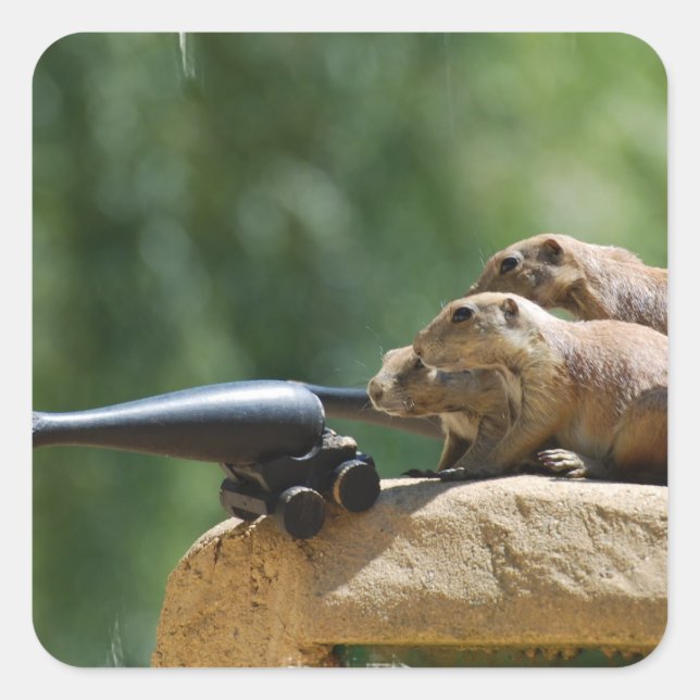 Prairie Dog Soldiers Stickers (Front)