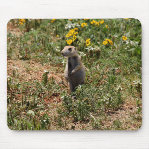Prairie Dog Solo Mouse Mat