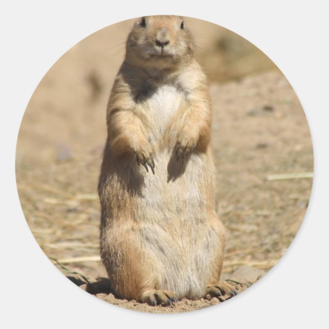 Prairie Dog Sticker (Front)