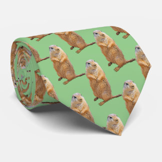 Prairie dog tie