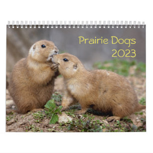 Prairie Dogs Calendar 2024