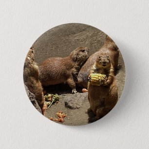 Prairie Dogs Eating Dinner 1 6 Cm Round Badge