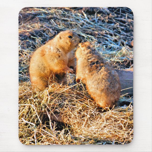 PRAIRIE DOGS MOUSE MAT (Front)