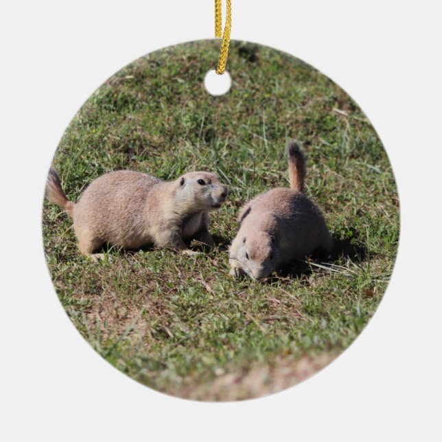 Prairie Dogs Playing in Badlands National Park, SD Ceramic Tree Decoration (Front)