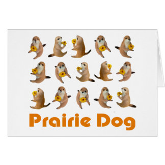 prairie dog's stuffed toy