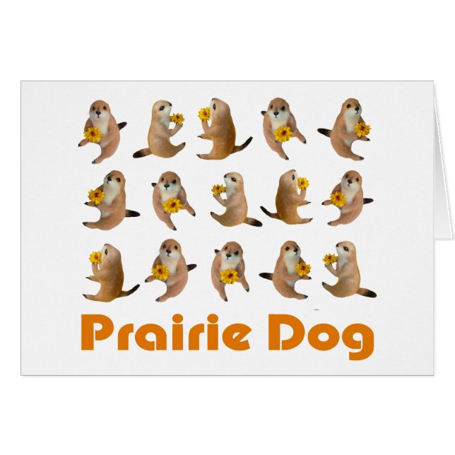 prairie dog's stuffed toy (Front Horizontal)