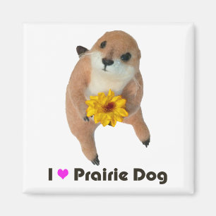 prairie dog's stuffed toy magnet