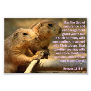 Prairie Dogs with Romans 15:5-6 Photo Print