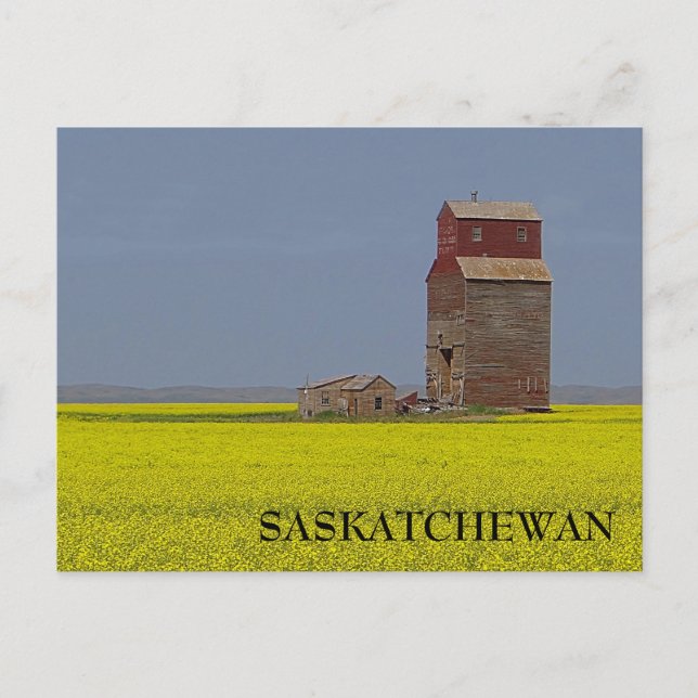 Prairie Elevator Landscape Postcard (Front)
