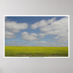 Prairie Fields Print Manitoba Landscape Prints