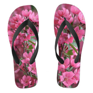 Prairie Fire Crab Apple Blossoms    Flip Flops