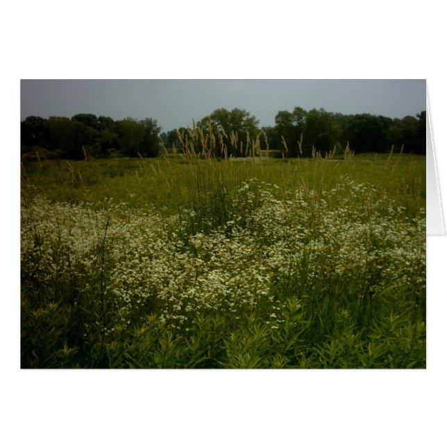 Prairie Flowers Card (Front Horizontal)