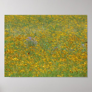 Prairie flowers, Indiana Poster