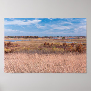 prairie grasses and wetlands at necedah poster