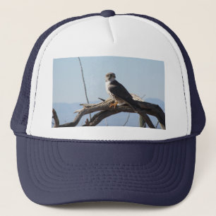 Prairie Hawk Hat