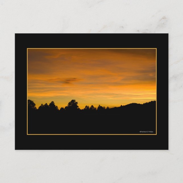 Prairie Hills At Sunset Postcard (Front)