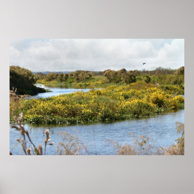 Prairie in Bloom Art Poster -36x24 -other sizes (Front)