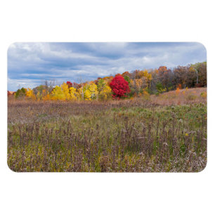 prairie landscape in autumn at afton state park magnet