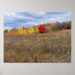 prairie landscape in autumn at afton state park  poster